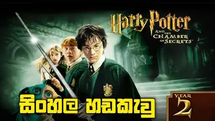 Harry Potter and the Chamber of Secrets (2002)