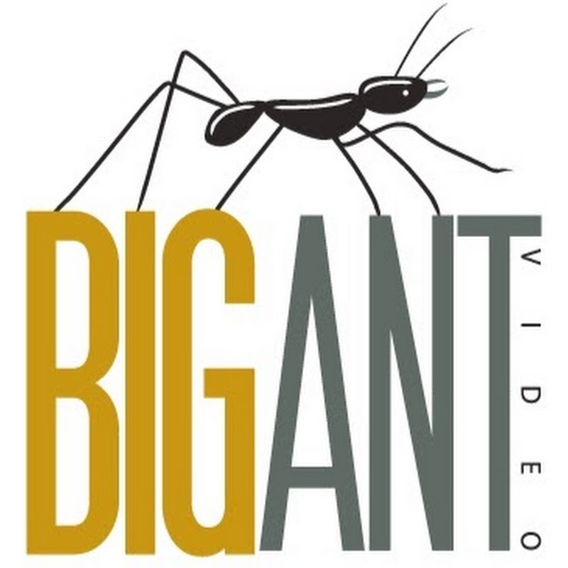 Big Ant Video Production