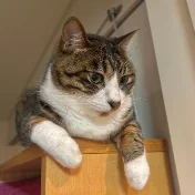 トモヤ学びの部屋