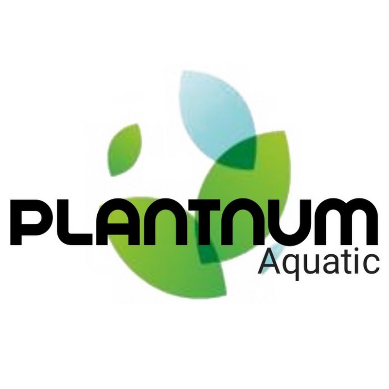 Plantzue