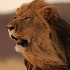 動物世界愛好者 animal world Loverアイコン画像