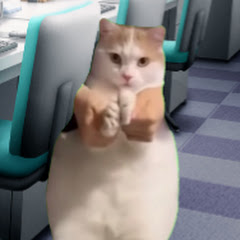 猫ミーマーぴろし子