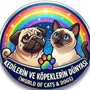 Welcome to the World of Cats and Dogs! 🐾