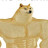 Stronk doge