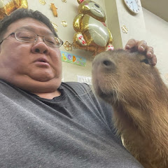 CAPYBARA LAND (Capybara Cafe & Petting Zoo) カピバランド