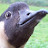Avatar photo