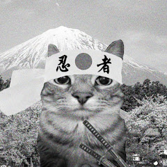 History Intrigue channel avatar