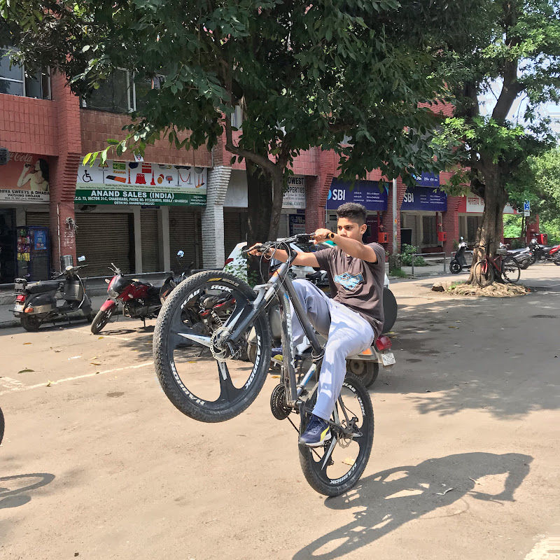 YUVRAJ VLOGS