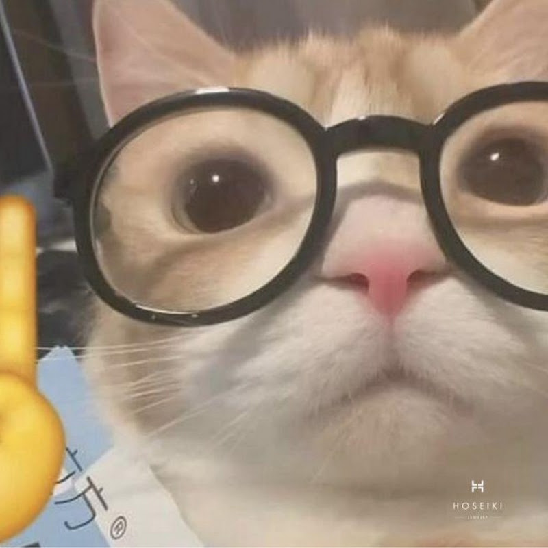 健康人生道頻道 Logo