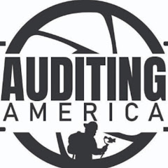 Auditing America net worth