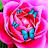 @mikotomorita9580