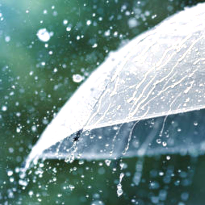 rainyday 雨天 Logo