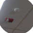 fby2NPtwvMo-channel-avatar-Misha S