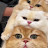 @ahn3866.