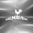 jy_b4pwb6ZI-channel-avatar-Gallinero Social Media