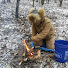 PDsu95Rg2tQ-channel-avatar-Just Paul