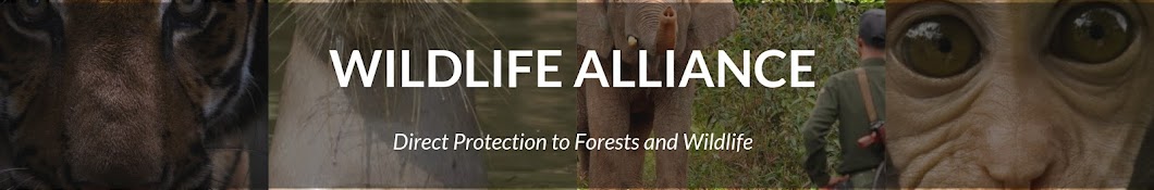 Wildlife Alliance YouTube kanalı avatarı