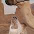 n2TL7MqRkQE-channel-avatar-شموخ عبدالله