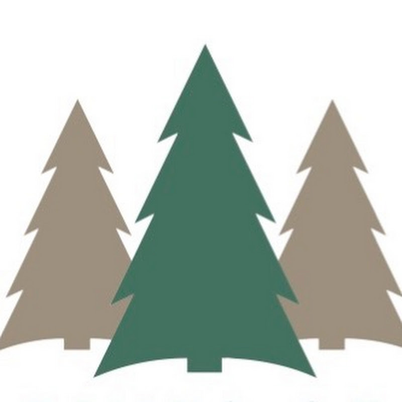 The Pines of Kabetogama thumbnail