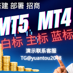MetaTrader 5 #MetaTrader 4源码,搭建,部署,出租一条龙アイコン画像