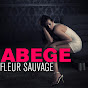 Abégé - หัวข้อ