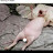 @travismurphy6733 Avatar