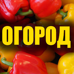 ОГОРОД ТВ avatar