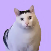 Fundaily