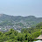 @ForestSeoul