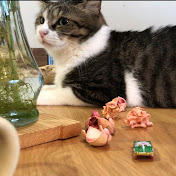 仕事と音楽と猫