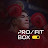 Pro Fit Boxing