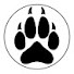 b3IE6hi06hA-channel-avatar-Drachona The Wolf
