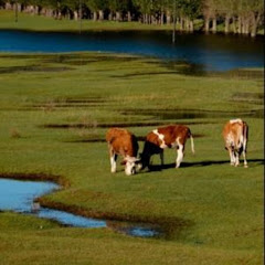 提前退休去旅行アイコン画像