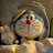 Avatar de @RITIKA-C7n