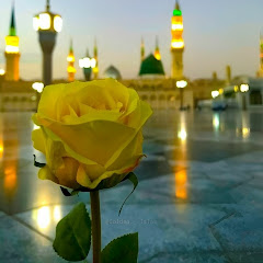 @IslamicShorts