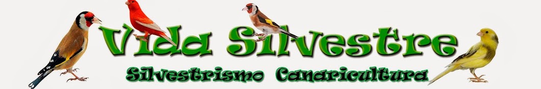 Vida Silvestre YouTube channel avatar