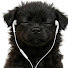 iPHjupWg0go-channel-avatar-wuk111