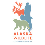 Alaska Wildlife Conservation Center