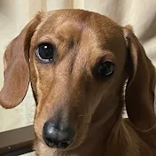 よーすけ