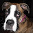 @benjaminpeters3885 Avatar