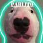 RodriAcu2022 Image Thumbnail