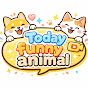 Today funny animal