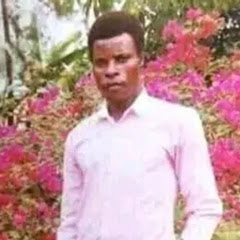 Herman Basudde - Topic