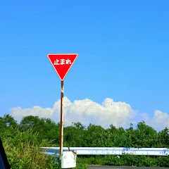 しどろもどろ。