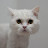 @ammiilii Avatar