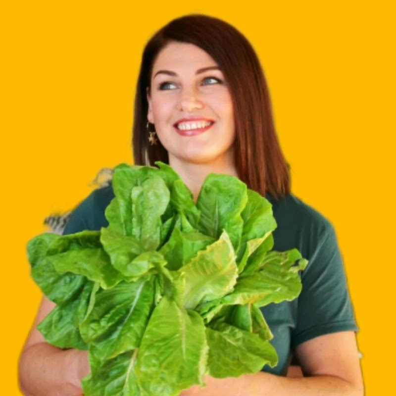 MyNewSaladDays