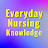 Everyday Nursing Knowledge