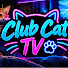 djjdXxRWtSQ-channel-avatar- Club Cat Tv