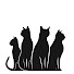 Qi0lq4Omet0-channel-avatar-Alley Cats Groove