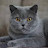 @عصفور-ب1ع